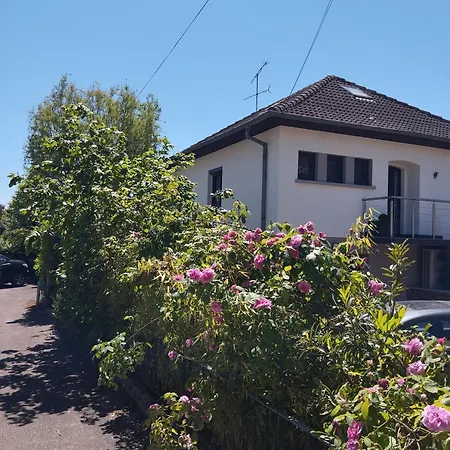 Le Ptit Lou * Kaysersberg-Vignoble
